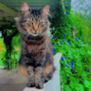 Meet your Posher, Ale